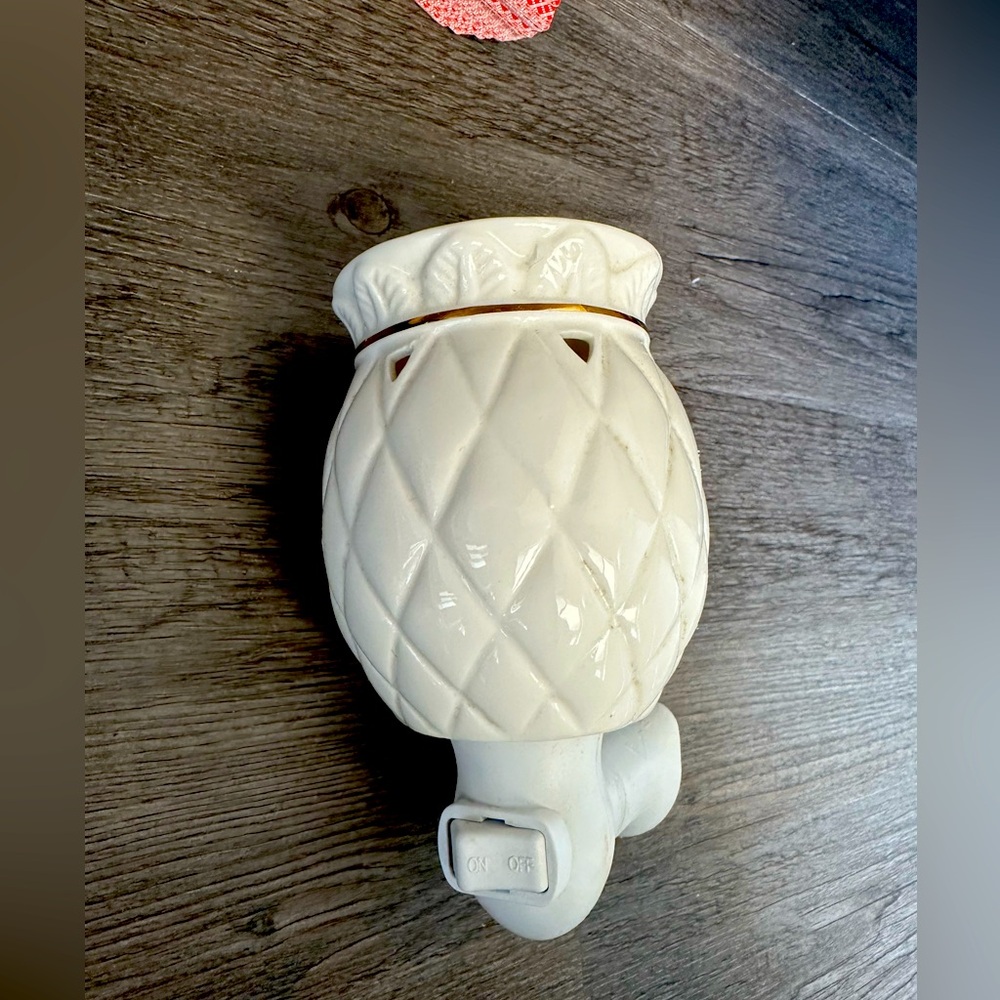 Wall wax warmer plug in
